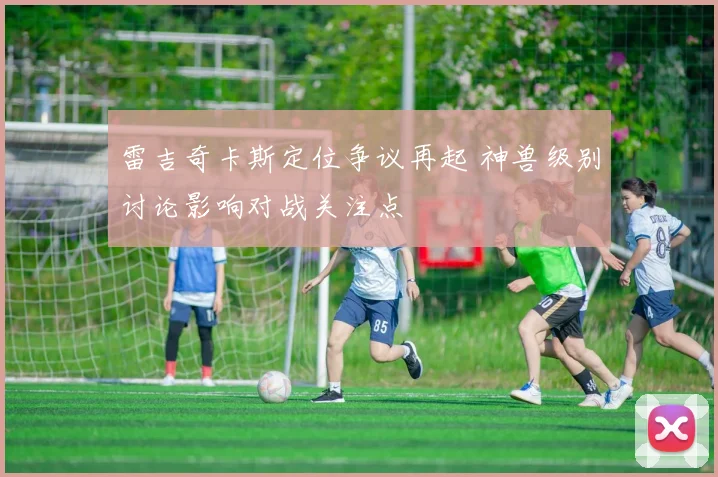 雷吉奇卡斯定位争议再起 神兽级别讨论影响对战关注点